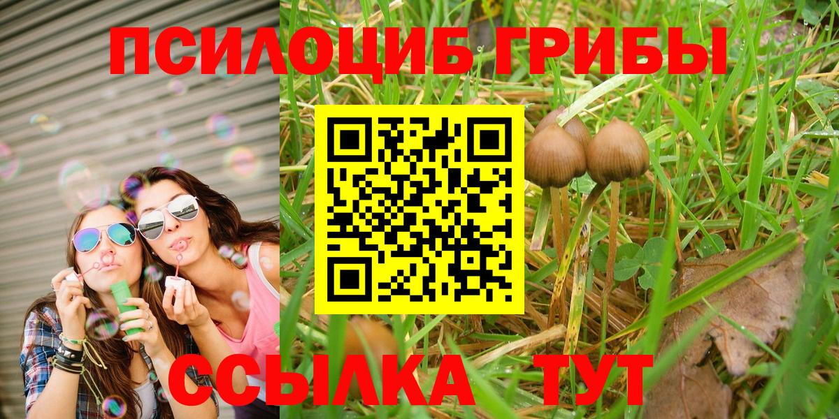 Вязьма  Галлюциногенные грибы Magic Shrooms  Галлюциногенные грибы MAGIC MUSHROOMS  Вход с VPN 