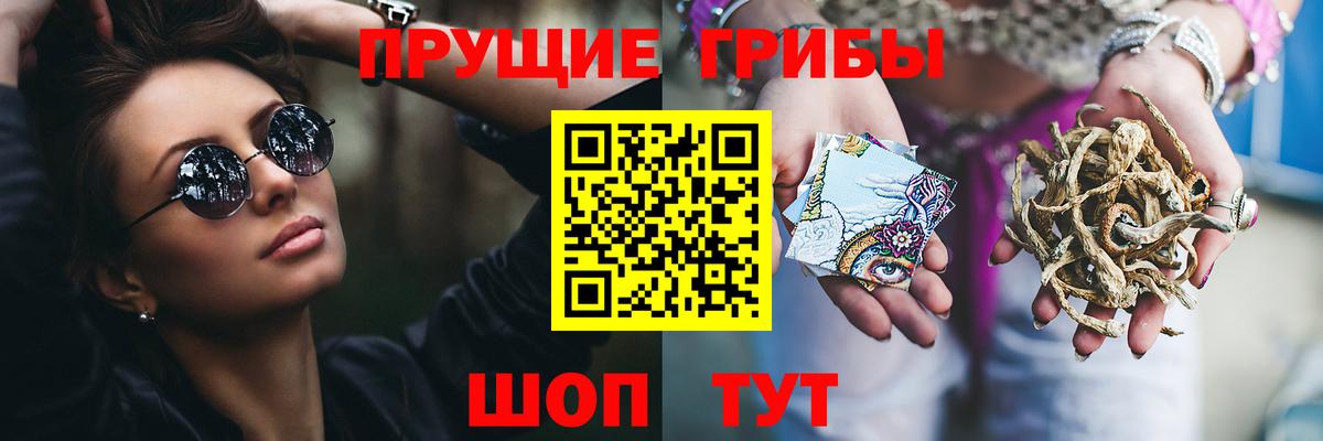 Псилоцибиновые грибы Cubensis Вязьма
